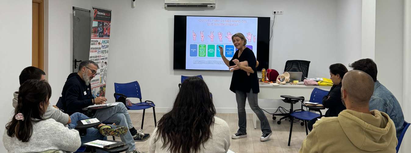 Formación individual de profesionales en CESEM para convertirse en instructores de Simulación clínica de emergencias